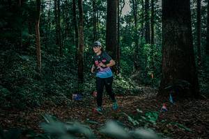 BIB: 
                            <button type="button" onclick="openModal(26063818)" class="btn btn-primary btn-sm float-right btn-popup" data-toggle="modal" data-target=".modal-high-quality">
                        <i class="fas fa-shopping-cart"></i> Add to Cart
                    </button>
                                            <button type="button" onclick="isThisMe(26063818, true)" class="btn btn-success btn-sm float-right btn-popup btn-isme hidden" data-toggle="tooltip" data-placement="bottom" title="นี่คือรูปของคุณใช่ไหม คลิกที่นี่เพื่อเอาเข้าอัลบั้ม">
                        <i class="fas fa-plus"></i> Add to album
                    </button>
                    <button type="button" onclick="isThisMe(26063818, false)" class="btn btn-warning btn-sm float-right btn-popup btn-isnotme hidden">
                        <i class="fas fa-ban"></i> Remove from album
                    </button>